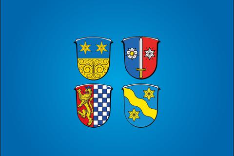 Serie Wappen im Odenwaldkreis Von Löwen und Adelsfamilien